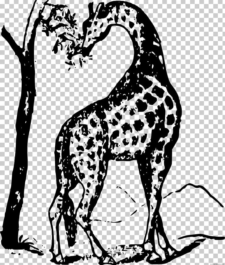 The White Giraffe Black And White Non-sporting Group PNG, Clipart, Animal, Art, Big Cats, Black, Branch Free PNG Download