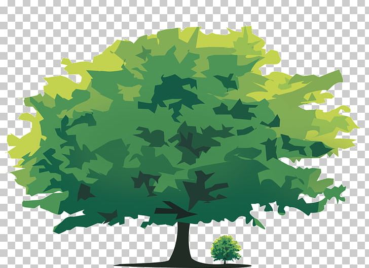 Tree Computer Icons PNG, Clipart, Banyan, Branch, Cartoon, Computer Icons, Creation Free PNG Download