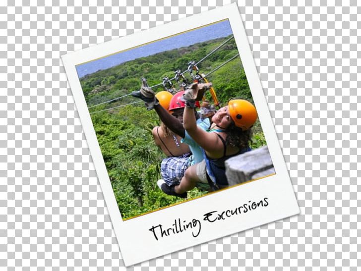 Advertising Vacation Recreation Zip-line Google Play PNG, Clipart, Advertising, Google Play, Grass, Leisure, Play Free PNG Download
