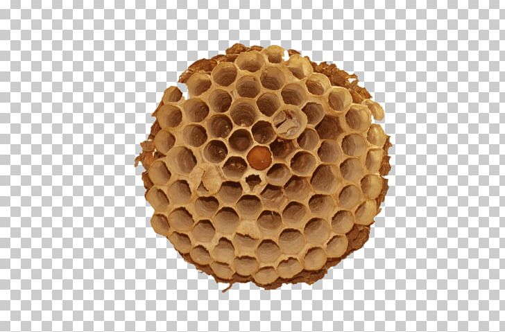 Honeycomb Honey Bee Beehive PNG, Clipart, Animals, Bee, Explosion Effect Material, Honey, Hornets Nest Free PNG Download