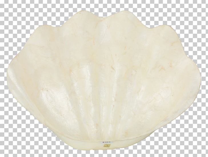 Mateus Ceramic Artifact .de Seashell PNG, Clipart, Artifact, Ceramic, Color, Mateus, Minta Free PNG Download