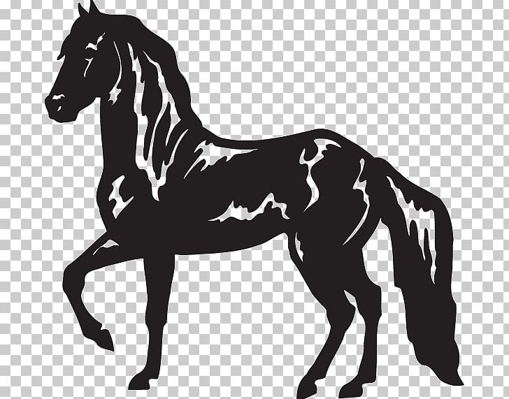 Paso Fino Peruvian Paso American Paint Horse Tiger Horse Rocky Mountain Horse PNG, Clipart, Animal, Dressage, Fictional Character, Horse, Horse Supplies Free PNG Download