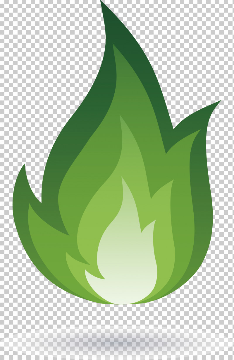 Flame Fire PNG, Clipart, Biology, Fire, Flame, Fruit, Green Free PNG Download