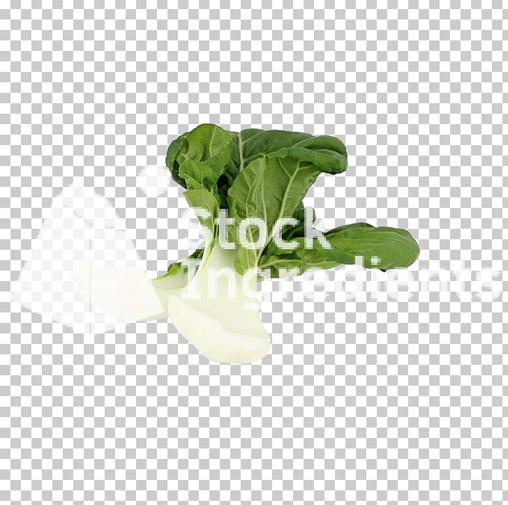 Leaf Vegetable Romaine Lettuce PNG, Clipart, Bok Choy, Chard, Flowerpot, Food, Food Drinks Free PNG Download