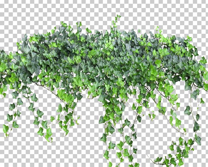 Weeping Willow Computer File PNG, Clipart, Amusement Park, Branch, Chinese, Computer Graphics, Download Free PNG Download