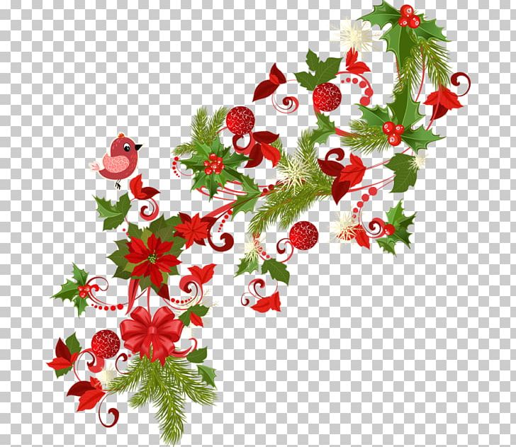 Christmas Day Santa Claus Christmas Ornament Illustration PNG, Clipart, Aquifoliaceae, Aquifoliales, Branch, Christmas, Christmas Card Free PNG Download