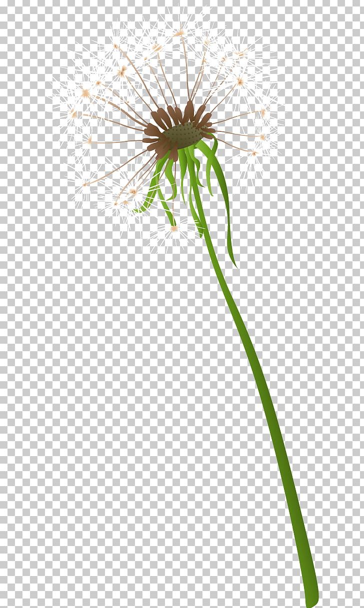Dandelion LG Optimus L70 LG Electronics Sticker Line PNG, Clipart, Daisy, Daisy Family, Flora, Flower, Flowering Plant Free PNG Download