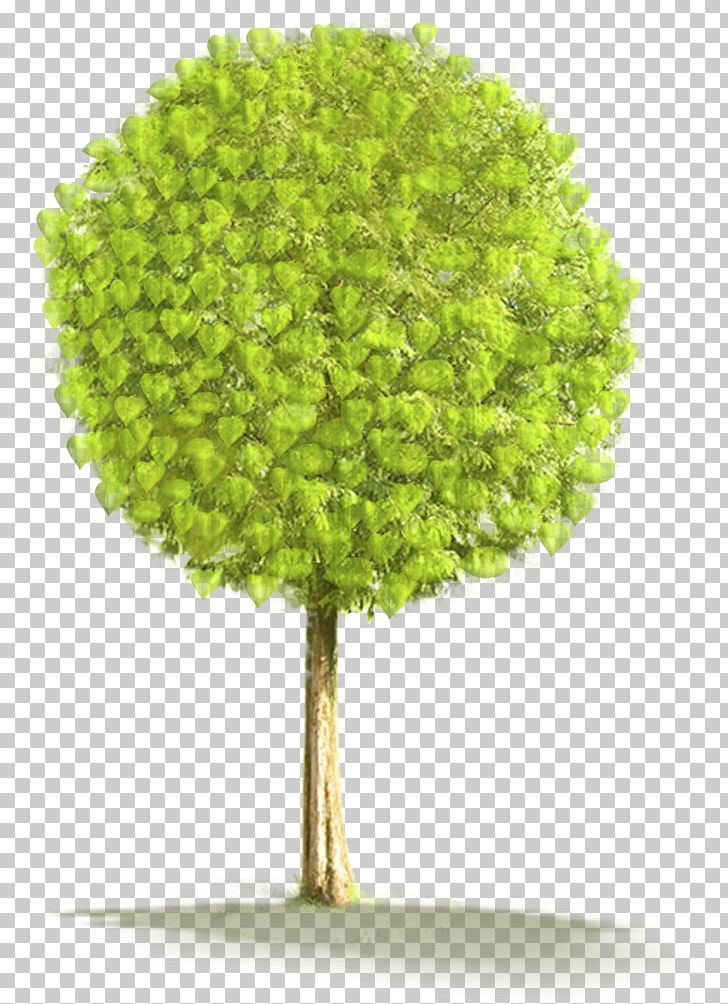 Drawing Art PNG, Clipart, Architecture, Art, Drawing, Grass, Jiant Tree Free PNG Download