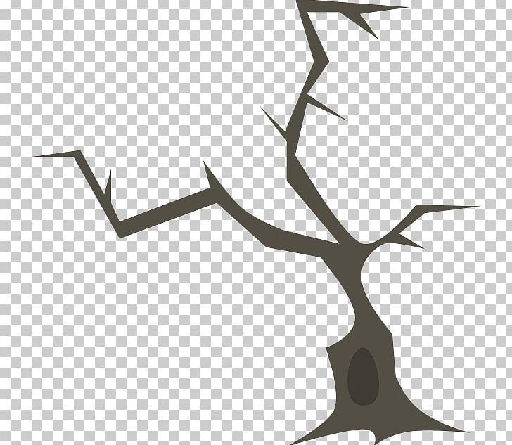 Twig Branch Tree Forest Wood PNG, Clipart, Angle, Antler, Bark, Black And White, Branch Free PNG Download