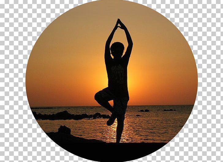 Yoga Exercise Asana Health Balance PNG, Clipart, Asana, Balance, Barre, Exercise, Flexibility Free PNG Download