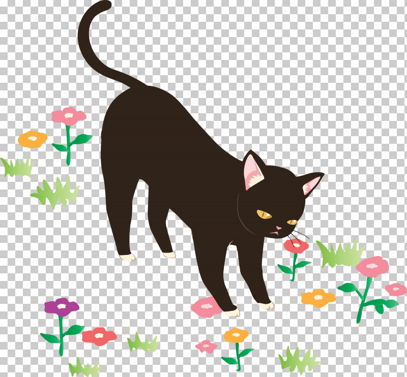 Cat Black Cat Small To Medium-sized Cats Tail Cartoon PNG, Clipart, Black Cat, Bombay, Burmese, Cartoon, Cat Free PNG Download