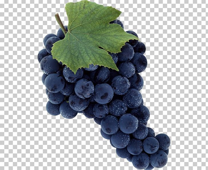 Merlot Wine Grape Sultana PNG, Clipart, Berry, Bilberry, Blueberry, Common Grape Vine, Flame Seedless Free PNG Download