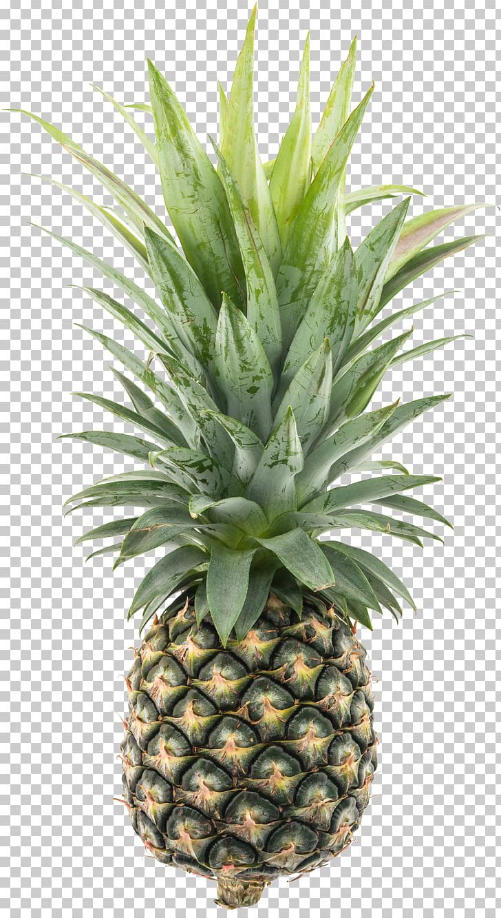 Pineapple Fruit Food PNG, Clipart, Auglis, Botany, Bromeliaceae, Cartoon Pineapple, Download Free PNG Download