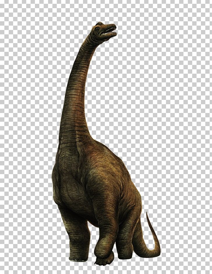Sinosauropteryx Velociraptor Dinosaur PNG, Clipart, 3d Animation, African Elephant, Ancient, Animal, Animation Free PNG Download