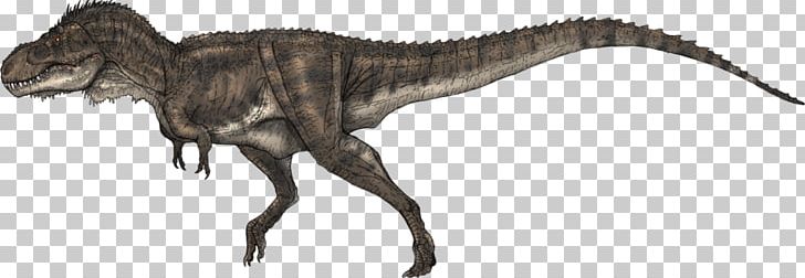Tyrannosaurus Carcharodontosaurus Allosaurus Giganotosaurus Spinosaurus PNG, Clipart, Allosauroidea, Allosaurus, Animal Figure, Carcharodontosauridae, Carcharodontosaurus Free PNG Download