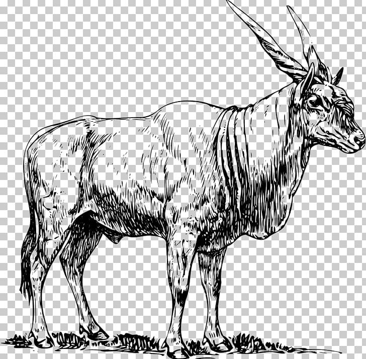 Common Eland Antelope PNG, Clipart, Animal, Antelope, Black And White, Bull, Cattle Like Mammal Free PNG Download