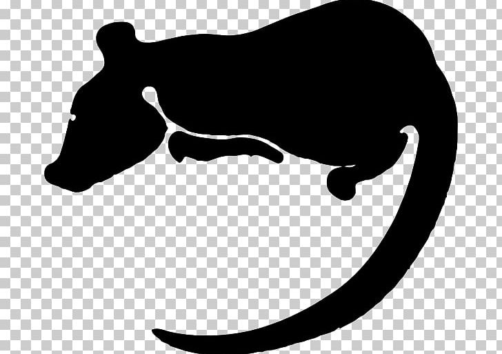Laboratory Rat Rodent Chinese Zodiac PNG, Clipart, Animals, Astrological Sign, Astrology, Black, Black And White Free PNG Download
