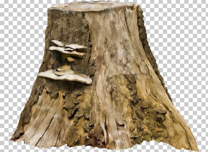 Tree Stump Photography PNG, Clipart, Albom, Ancient, Camouflage, Christmas Tree, Clip Art Free PNG Download