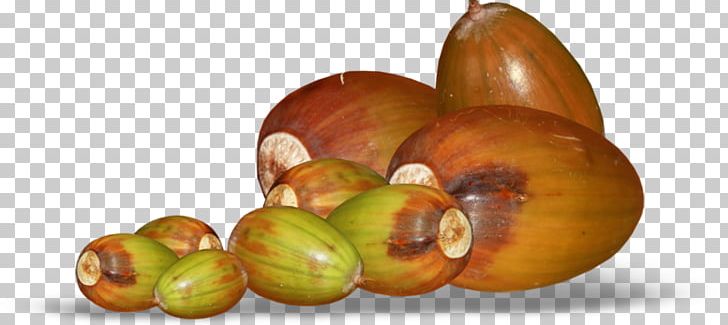 Acorn Oak Auglis PNG, Clipart, Acorn, Auglis, Blog, Food, Fruit Free PNG Download