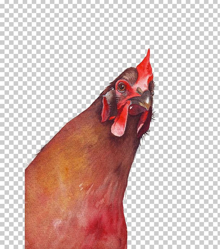 Chicken Watercolor Painting Rooster PNG, Clipart, Animal, Animals, Art, Avatar, Badminton Shuttle Cock Free PNG Download