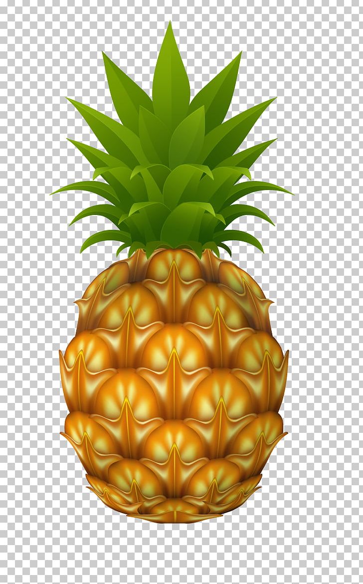 Pineapple Stock Photography Drawing PNG, Clipart, Ananas, Bromeliaceae, Cdr, Design Elements, Drawing Free PNG Download