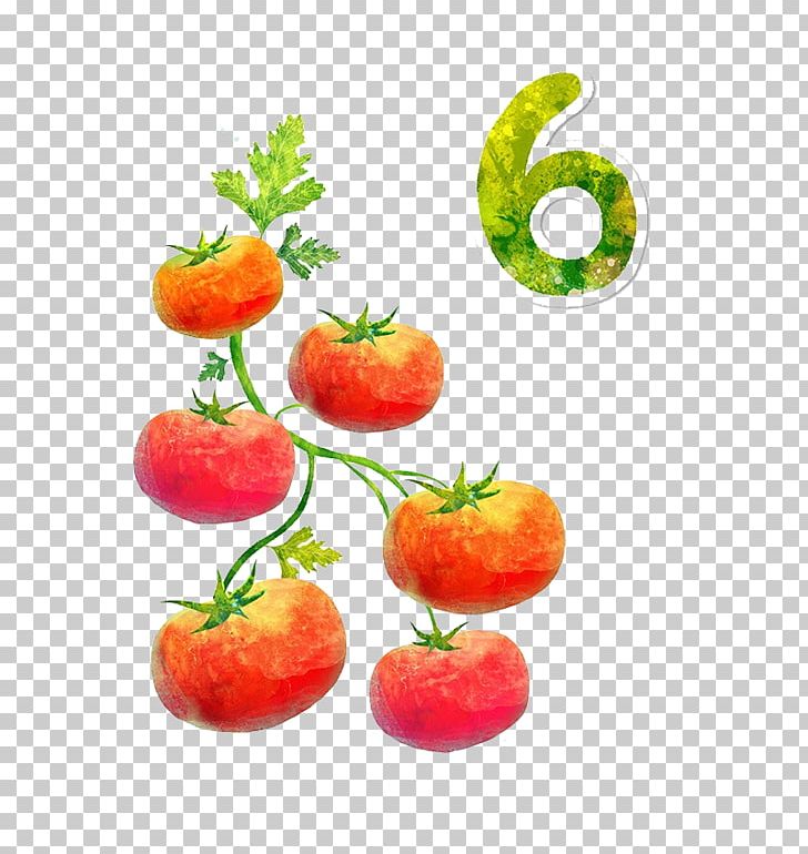 Cartoon Tomato PNG, Clipart, Art, Auglis, Cartoon, Children, Diet Food Free PNG Download