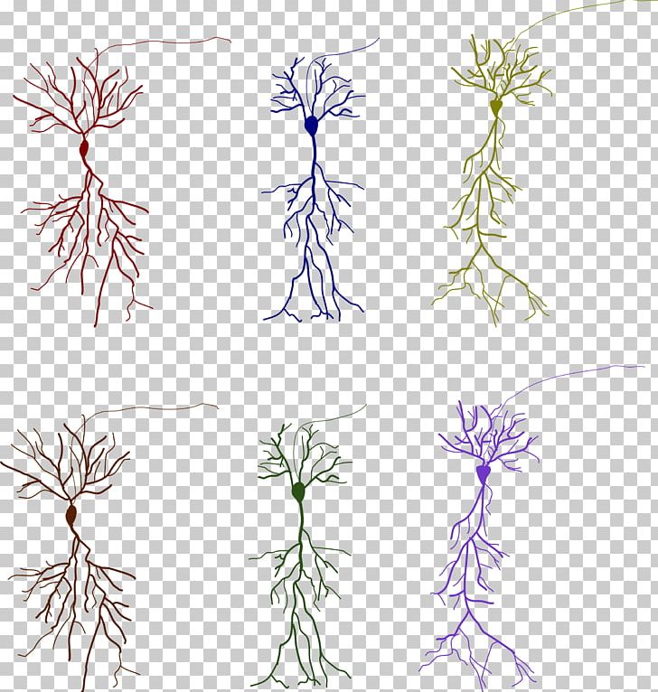 Neuroglia Neuron SafeSearch Plant PNG, Clipart, Area, Branch, Drawing, Flora, Floral Design Free PNG Download