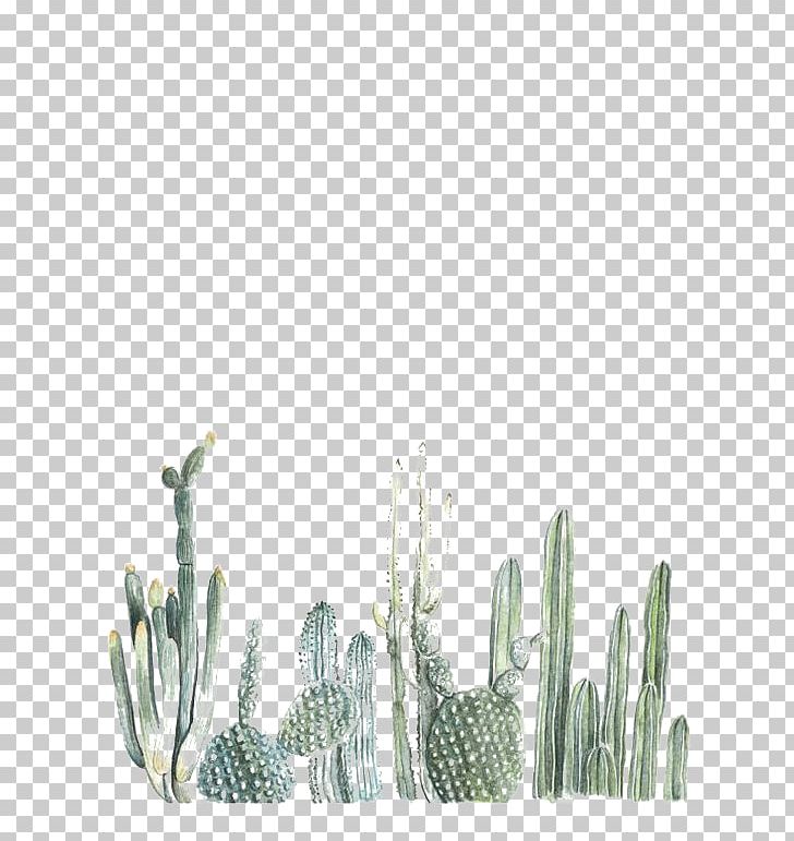 Cactaceae Cacti & Succulents Desktop Succulent Plant PNG, Clipart, Amp,  Art, Cactaceae, Cacti, Cacti Succulents Free