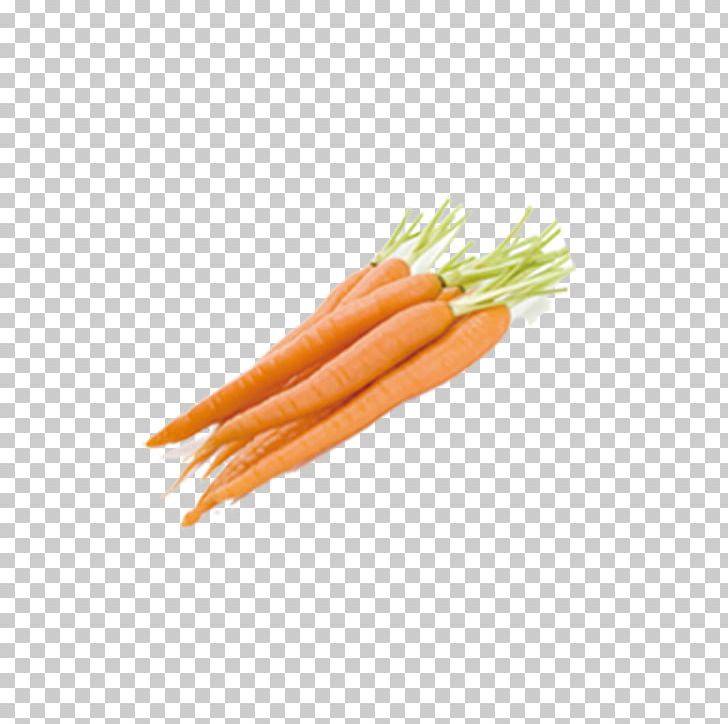 Juice Oil Vegetable Daucus Carota Food PNG, Clipart, Baby Carrot, Betacarotene, Bunch Of Carrots, Carrot, Carrot Cartoon Free PNG Download
