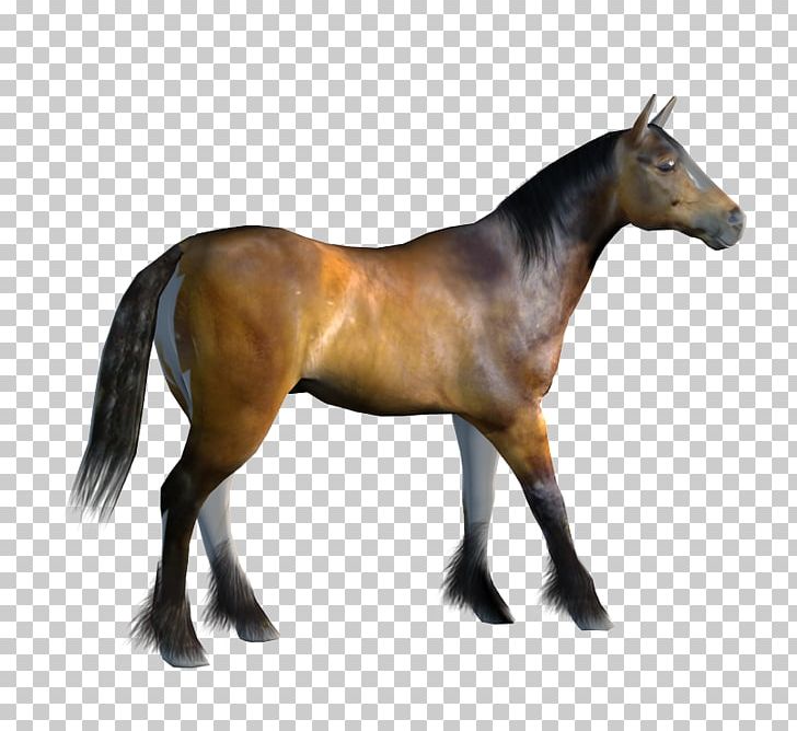 Mustang Pony Animation PNG, Clipart, 3d Modeling, Animation, Colt, Computer Graphics, Free Content Free PNG Download