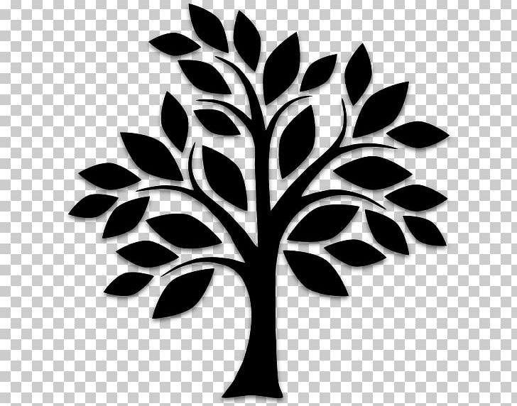 Tree Silhouette Drawing PNG, Clipart, Black And White, Branch, Drawing, Free Tree, Graphic Design Free PNG Download