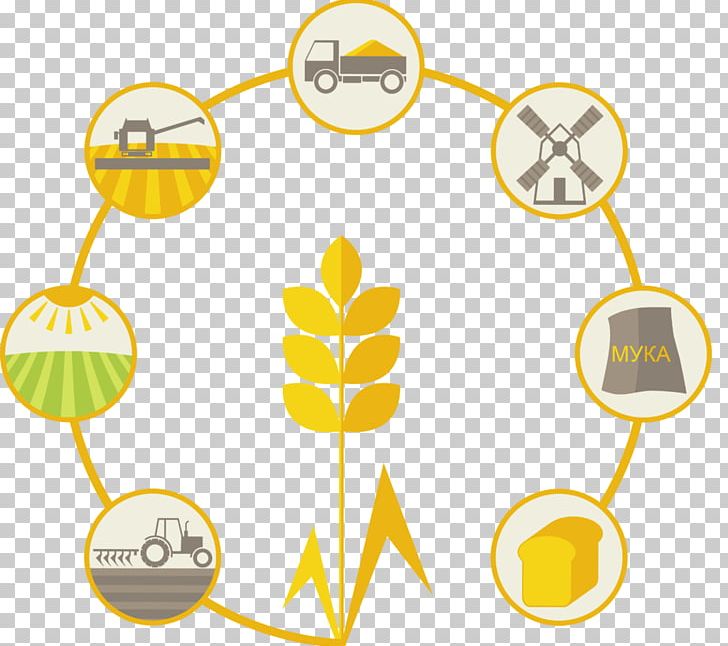 Cereal Agriculture Wheat Oat PNG, Clipart, Agriculture, Area, Barley, Cereal, Circle Free PNG Download