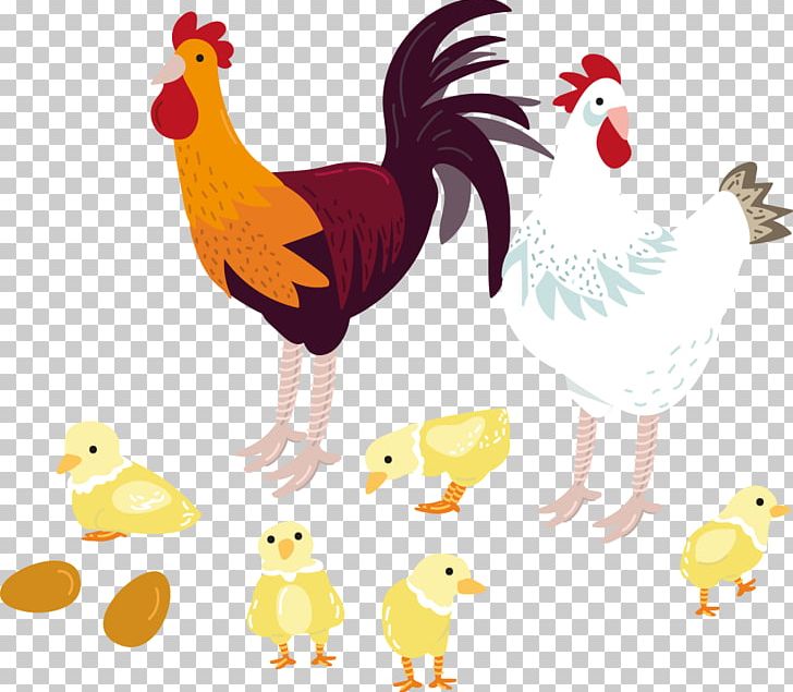 Chicken Rooster PNG, Clipart, Adobe Illustrator, Animals, Animation, Art, Beak Free PNG Download