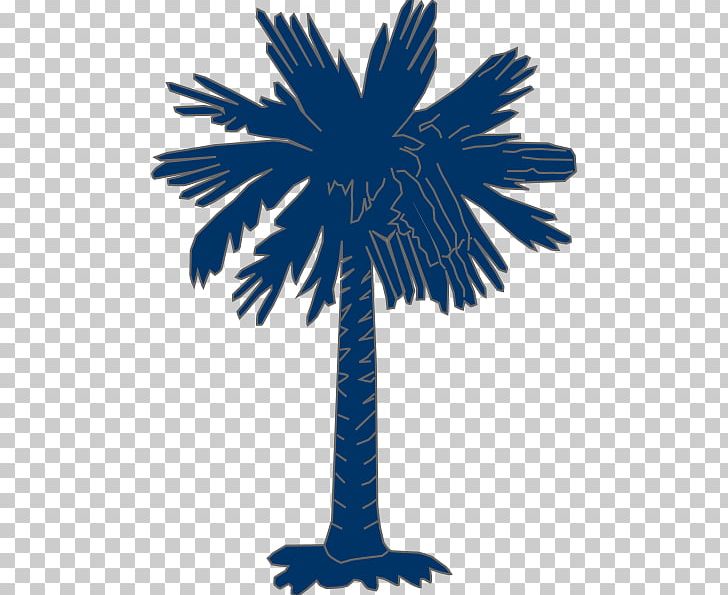 Flag Of South Carolina Sabal Palm Arecaceae PNG, Clipart, Arecaceae, Beak, Black And White, Blue, Branch Free PNG Download
