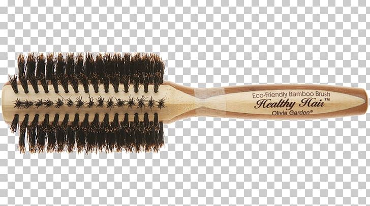 Hairbrush Wild Boar Comb Bristle PNG, Clipart, Barber, Bristle, Brush, Brushing, Capelli Free PNG Download