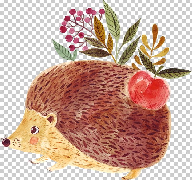 Hedgehog Drawing Illustration PNG, Clipart, Animals, Apple, Coffee Cup, Coffee Shop, Cuteness Free PNG Download