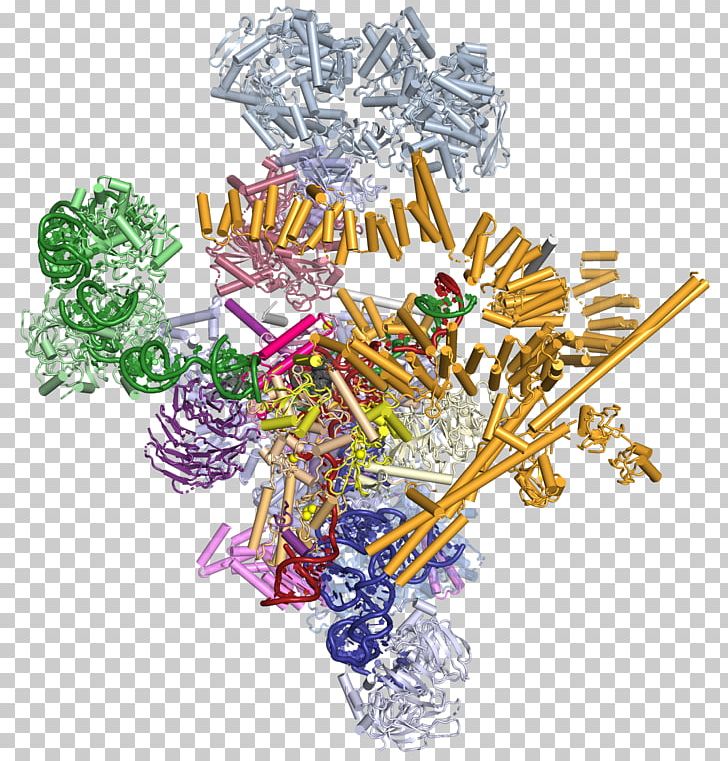 Laboratory Of Molecular Biology Branching Christmas Ornament Exon PNG, Clipart, Aids, Branching, Christmas, Christmas Ornament, Conformational Isomerism Free PNG Download