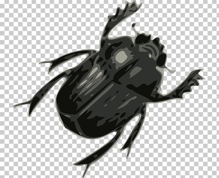 Beetle The Beatles Drawing PNG, Clipart, Animals, Arthropod, Beatle, Beatles, Beetle Free PNG Download