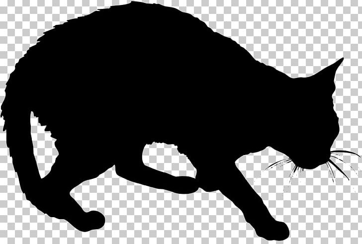 Black Cat Kitten Whiskers Domestic Short-haired Cat Wildcat PNG, Clipart, Animals, Black, Black And White, Carnivoran, Cat Free PNG Download