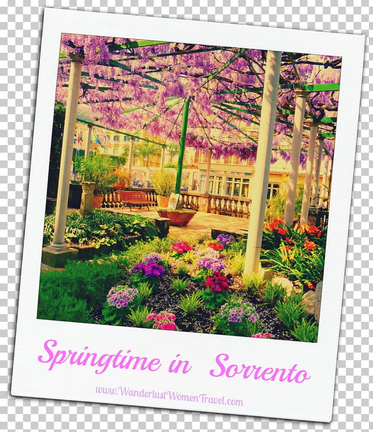 Sorrento Desktop Photograph Floral Design Portable Network Graphics PNG, Clipart, Code, Crowd, Desktop Wallpaper, Flora, Floral Design Free PNG Download