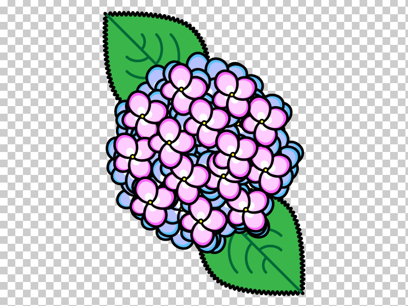 Plant Flower Hydrangea Hydrangeaceae Cornales PNG, Clipart, Cornales, Flower, Hydrangea, Hydrangeaceae, Plant Free PNG Download