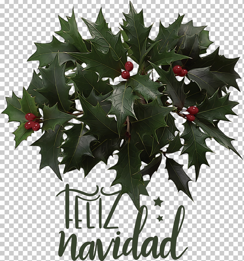 Feliz Navidad Merry Christmas PNG, Clipart, Aquifoliaceae, Aquifoliales, Branch, Christmas Day, Common Holly Free PNG Download