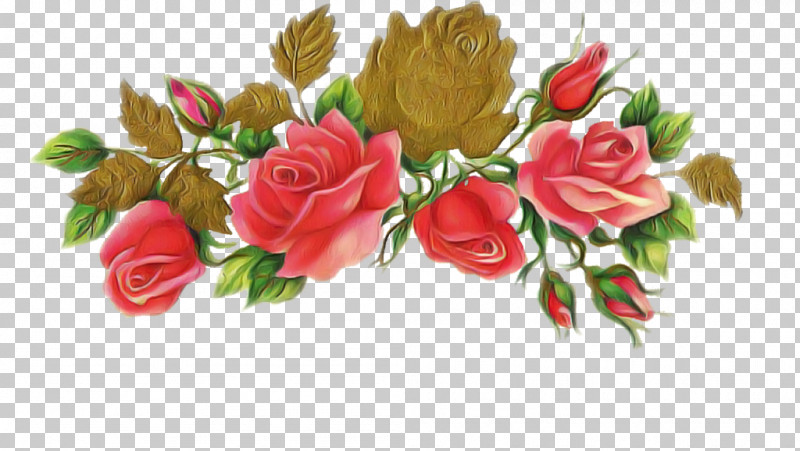 Garden Roses PNG, Clipart, Bouquet, Cut Flowers, Flower, Garden Roses, Pink Free PNG Download