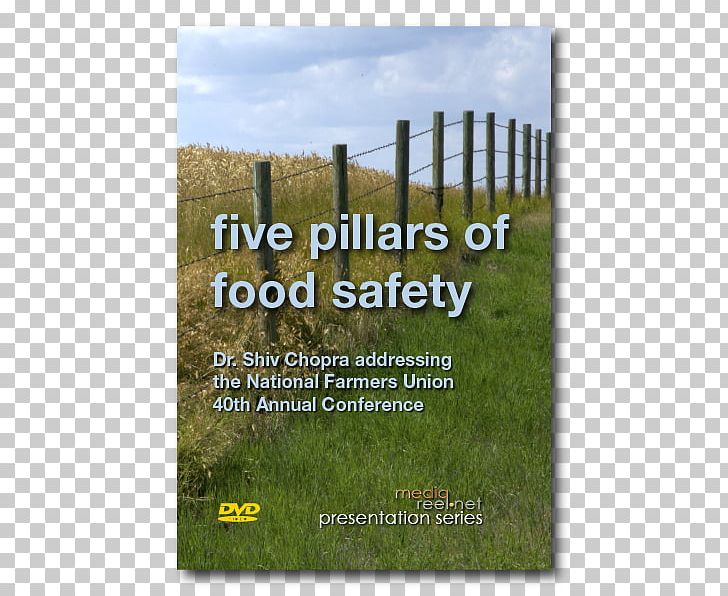 Canada Food Safety Health PNG, Clipart, Canada, Canadian Cuisine, Ecosystem, Energy, Fence Free PNG Download