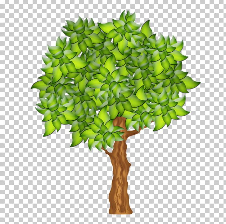 Fruit Tree Illustration PNG, Clipart, Apple, Berries, Branch, Drawing, Fruit Free PNG Download