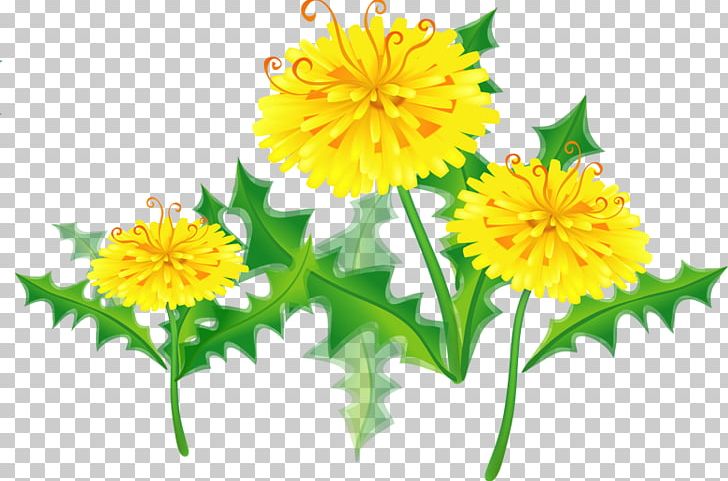 Plant Stem Annual Plant Flower PNG, Clipart, Annual Plant, Calendula, Chrysanths, Computer Icons, Cut Flowers Free PNG Download