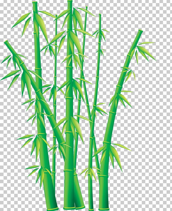 Bambusodae Free Content PNG, Clipart, Bamboo, Bamboo Border, Bamboo Frame, Bamboo House, Bamboo Leaf Free PNG Download