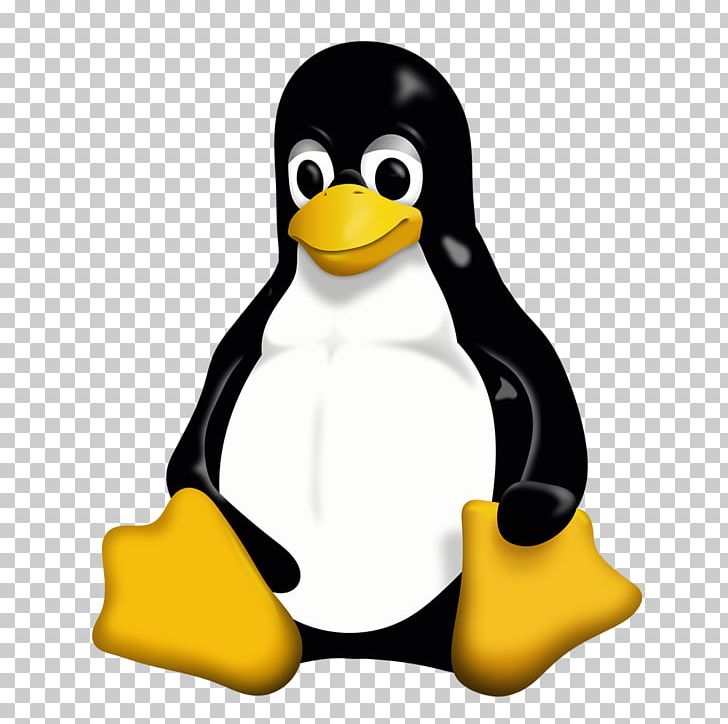 Linux Distribution Tux Operating Systems PNG, Clipart, Arch Linux, Beak, Bird, Computer Software, Debian Free PNG Download