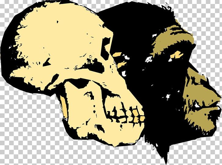 Ape Human Evolution Homo Sapiens Creationism PNG, Clipart, Animals, Art, Biology, Bone, Carnivoran Free PNG Download