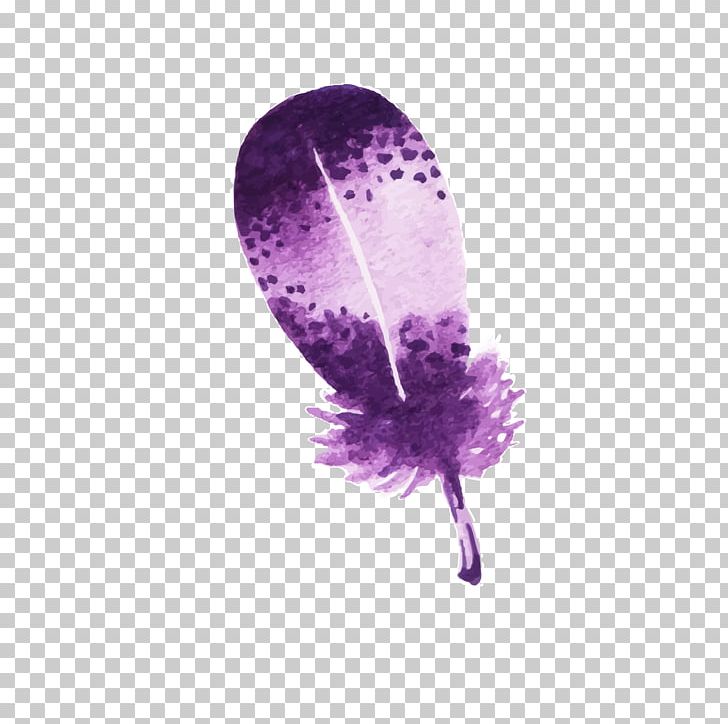 Bird Feather PNG, Clipart, Animals, Bird, Color, Download, Drawing Free PNG Download
